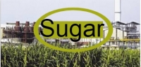 Sugar