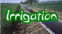 Irrigation